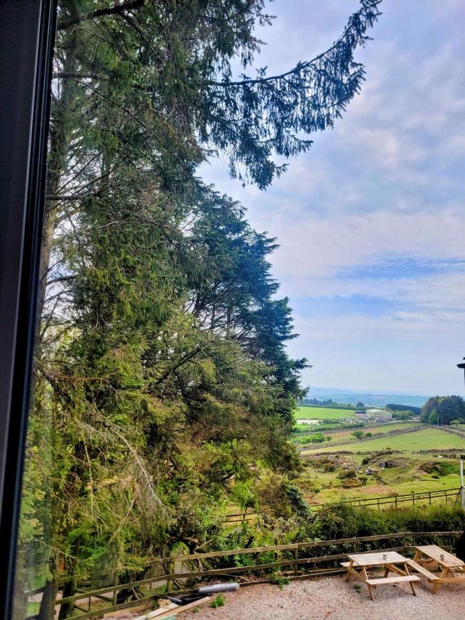 Wheal Tor & Glamping *